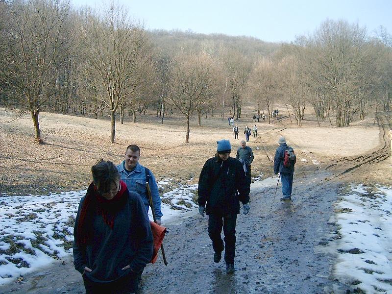 20110312 051.jpg